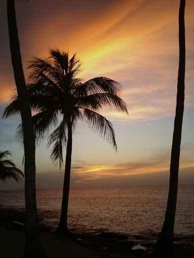 Puesta Sol Wall Decal Design 1