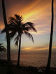 Puesta Sol Wall Decal Design 1