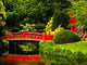 Red Bridge over a Lake in Green Japanese Garden 