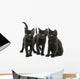 Group of Three Black Kittens Looking in the Same Direction 