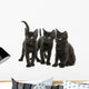Group of Three Black Kittens Looking in the Same Direction 