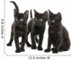 Group of Three Black Kittens Looking in the Same Direction 
