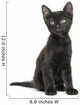Black Kitten Sitting, Looking Up, 2 Months Old, Isolated 