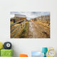 Dirty road in Carpathian village 