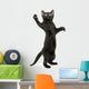 Black Kitten Standing Wall Decal