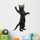 Black Kitten Standing Wall Decal
