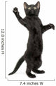 Black Kitten Standing Wall Decal