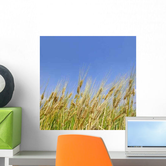 Wheat Field Wall Decal