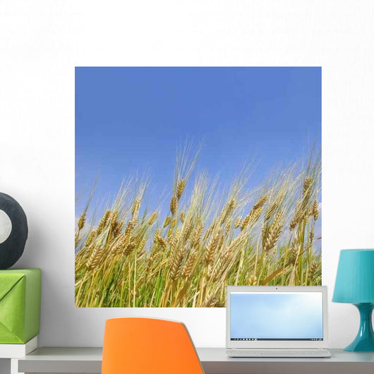 Wheat Field Wall Decal