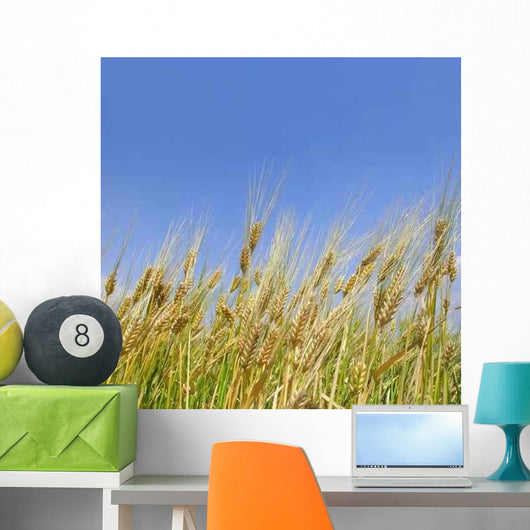 Wheat Field Wall Decal
