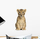 Lion Cub Sitting, Looking at the Camera, 7 Weeks Old, Isolated Wall Mural