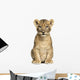 Lion Cub Sitting, Looking at the Camera, 7 Weeks Old, Isolated Wall Mural