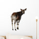Rear View of an Okapi, Looking Back and Mooing, Okapia Johnstoni Wall Decal
