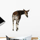 Okapi Wall Decal