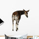 Okapi Wall Decal