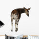 Okapi Wall Decal