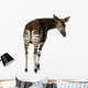 Okapi Wall Decal