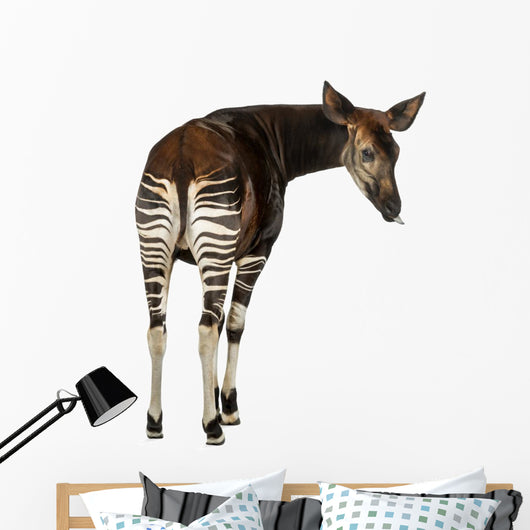 Okapi Wall Decal