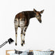 Okapi Wall Decal