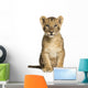 Lion Cub Sitting, Looking at the Camera, 10 Weeks Old, Isolated 