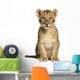 Lion Cub Sitting, Looking at the Camera, 10 Weeks Old, Isolated 