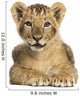 Lion cub lying, looking at the camera, 10 weeks old, isolated 