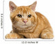 Front View of a Mixed-Breed Ginger Cat 