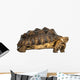 Side View of an African Spurred Tortoise Standing 
