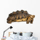 Side View of an African Spurred Tortoise Standing 