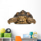 Front View of an African Spurred Tortoise, Geochelone Sulcata 