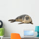 Common Seal Wall Decal