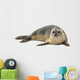 Common Seal Wall Decal
