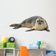 Common Seal Wall Decal