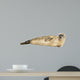 Side view of a Common seal lying on the side, Phoca vitulina 