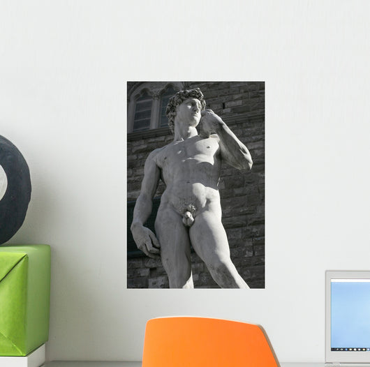 Michelangelo's David Wall Decal