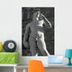 Michelangelo's David Wall Decal