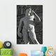 Michelangelo's David Wall Decal