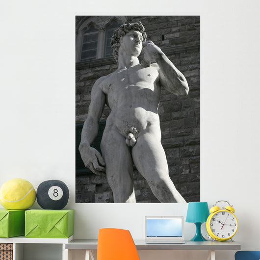Michelangelo's David Wall Decal