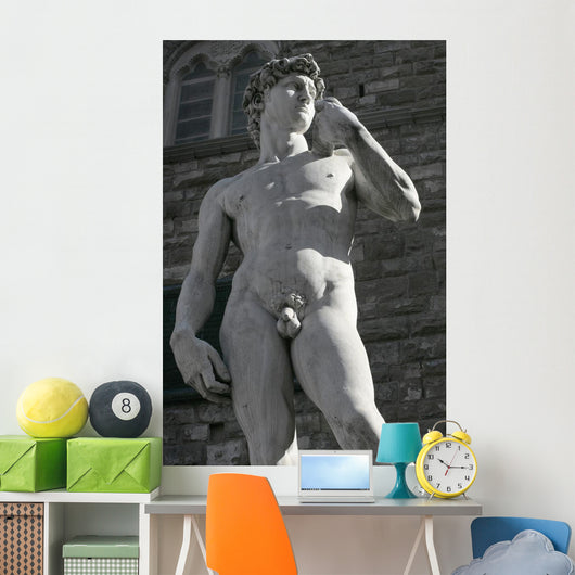 Michelangelo's David Wall Decal