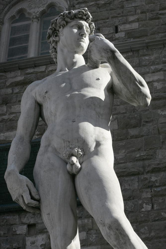 Michelangelo's David Wall Decal