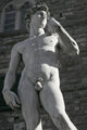 Michelangelo's David Wall Decal