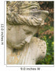 Female Classical Garden Statue Wall Mural