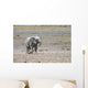 Elephant Wall Decal