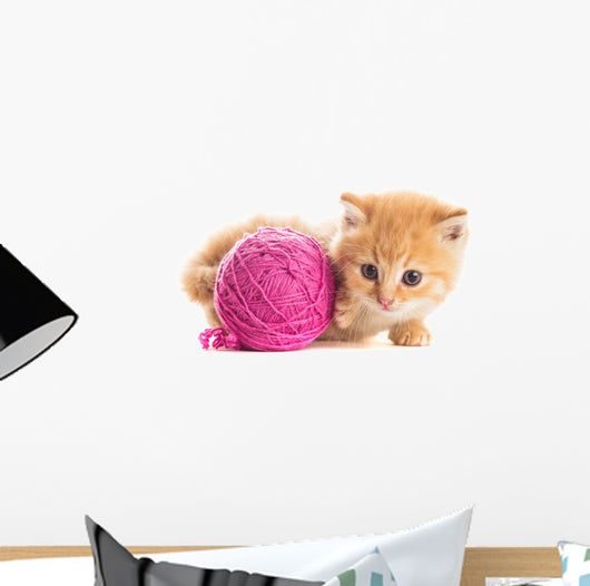 Playful Kitten Wall Decal