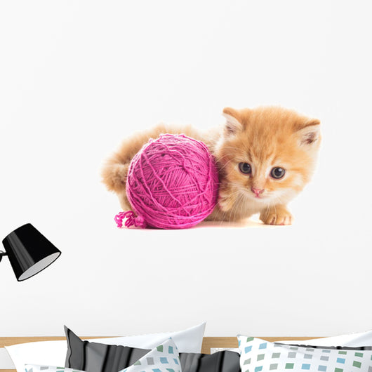 Playful Kitten Wall Decal