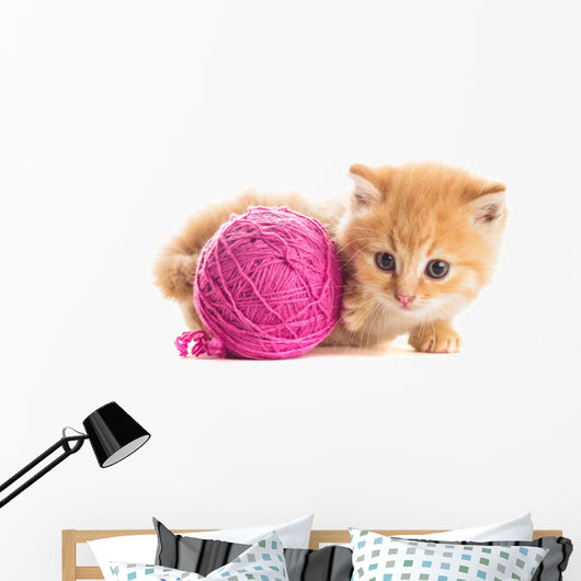 Playful Kitten Wall Decal