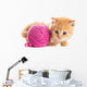 Playful Kitten Wall Decal