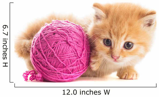Playful Kitten Wall Decal