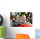 Persian Kitten Sitting Red Wall Decal