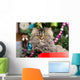 Persian Kitten Sitting Red Wall Decal